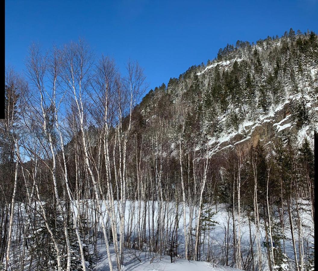 Condo Mont-Edouard Ель'Анс-Сен-Жан Екстер'єр фото